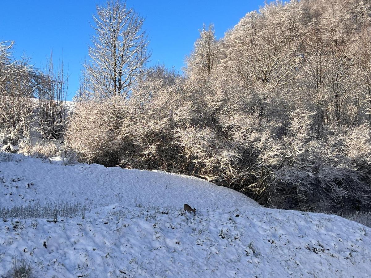 Villa Monte Apartament Z Ogrodem Kudowa-Zdroj Bagian luar foto