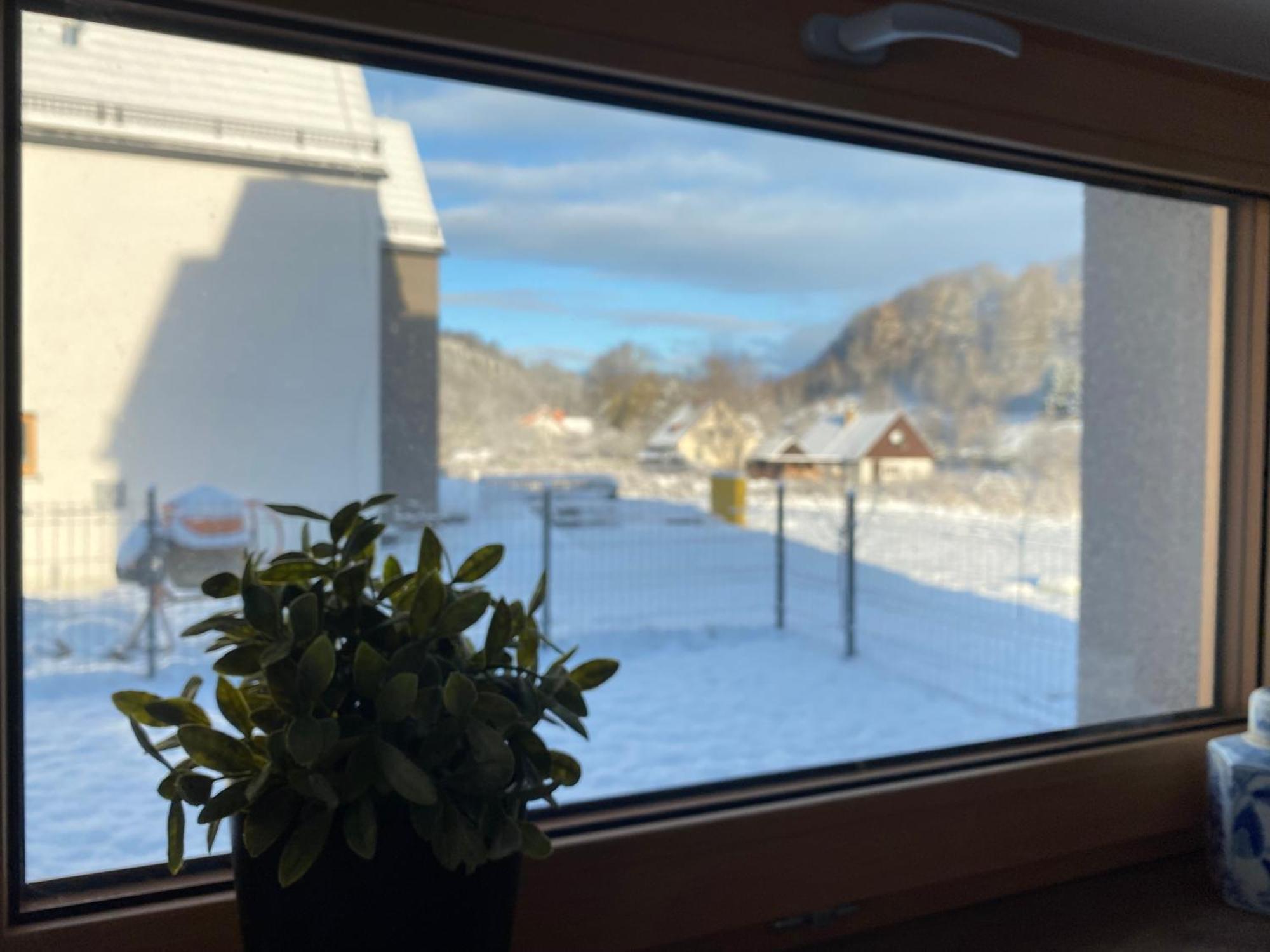 Villa Monte Apartament Z Ogrodem Kudowa-Zdroj Bagian luar foto